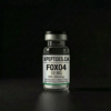 FOXO4